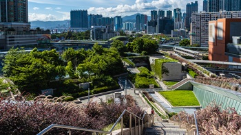 The open area is thoughtfully designed to connect to the existing pedestrian network of the urban context. The walkways link the public space to residential and commercial complexes, as well as the adjacent West Kowloon Cultural District.